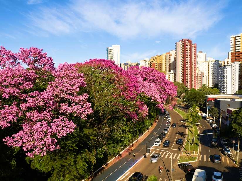 Fotos das cidades do Rio de Janeiro e Belo Horizonte